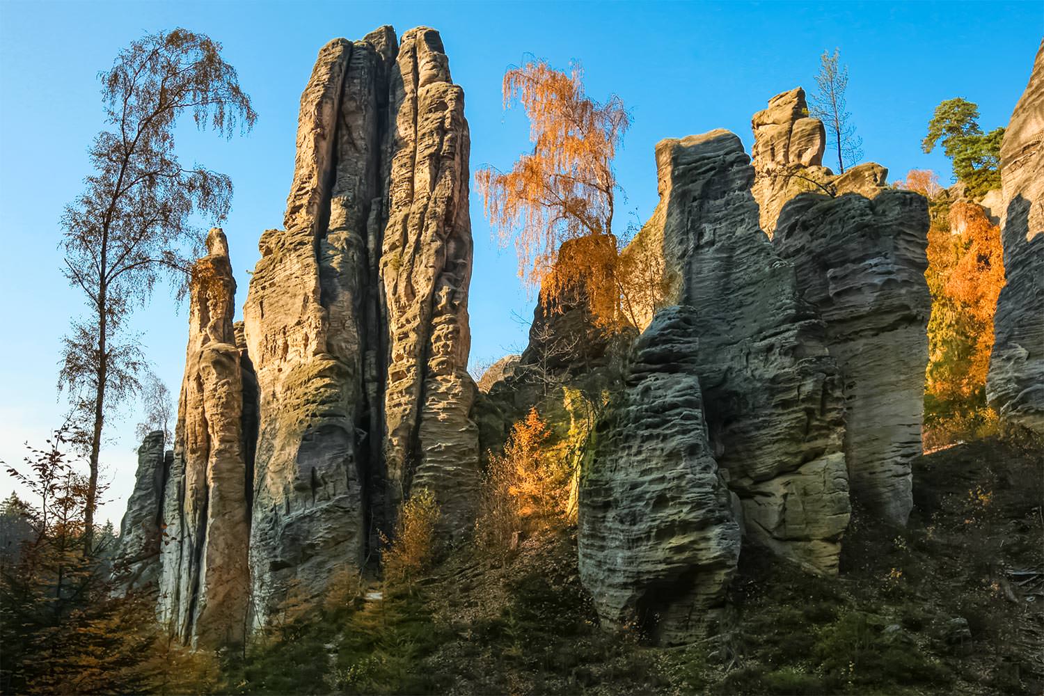 Scenic Bohemian Hikes