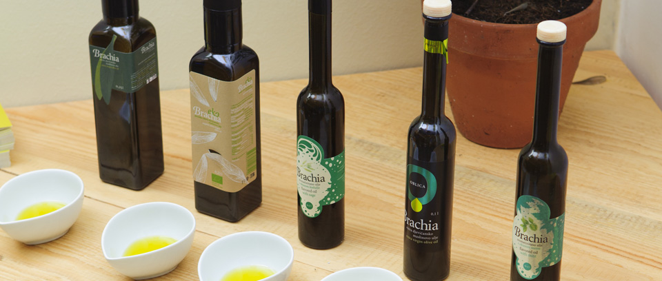 Bottles of Brachia Croatian Olive Oil from the island of Brac, arranged for a tasting.