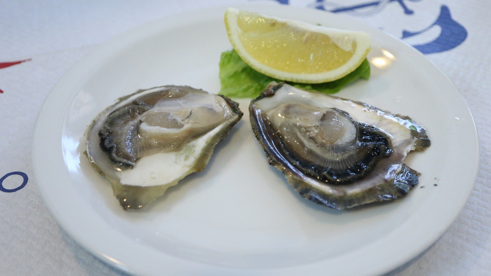 A white plate with two raw oysters and a lemon wedge. 