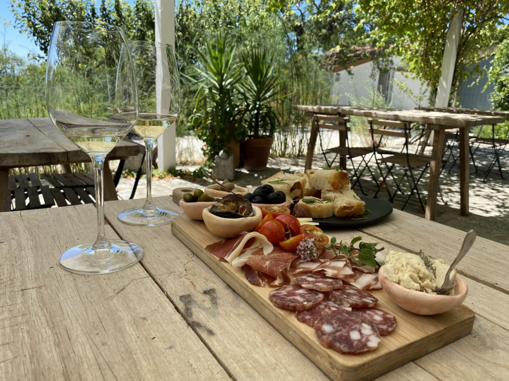 Wine tasting near Skradin