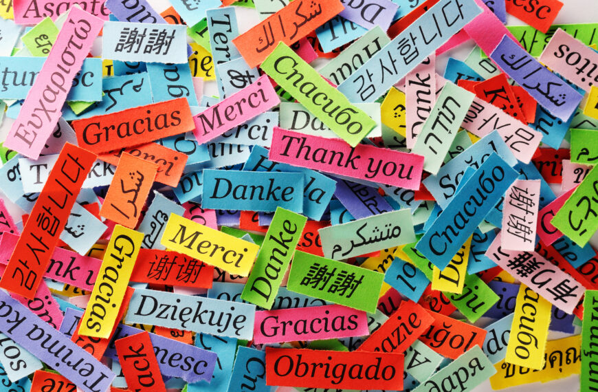 Know Before You Go: Language Basics