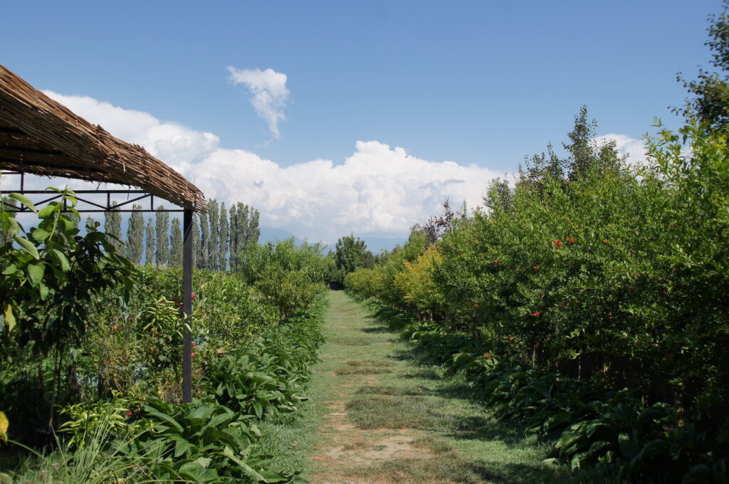Uka farm, an organic farm & winery on the outskirts of Tirana.