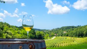 This image shows a glass of white wine on a wooden barrel. In the background, stretches of vineyards and gorgeous landscape are visible. This scenery is common near the best wineries in Split.