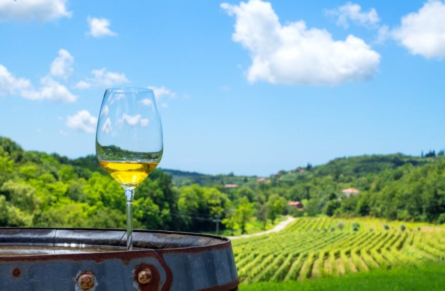This image shows a glass of white wine on a wooden barrel. In the background, stretches of vineyards and gorgeous landscape are visible. This scenery is common near the best wineries in Split.