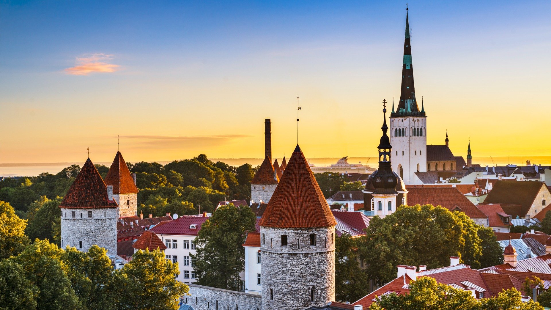 This is an aerial view of the red rooftops in the medieval heart of Tallinn. 