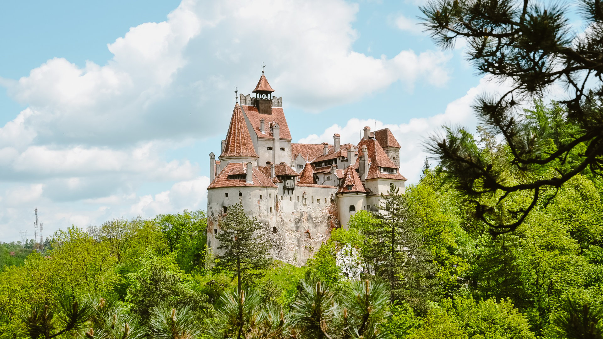 Panorama Castelului Bran al lui Dracula văzut dintr-o pădure din apropiere.