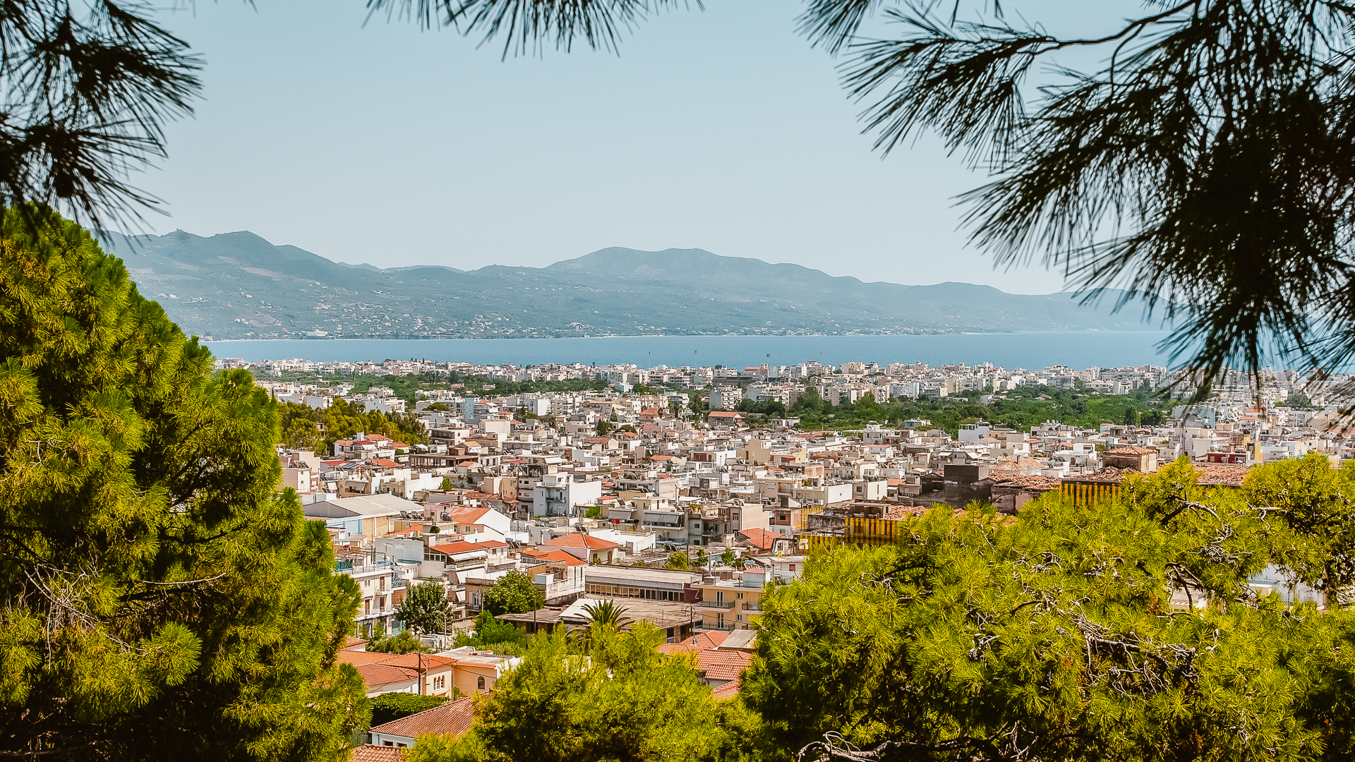 View of the City of Kalamata through some branches and trees