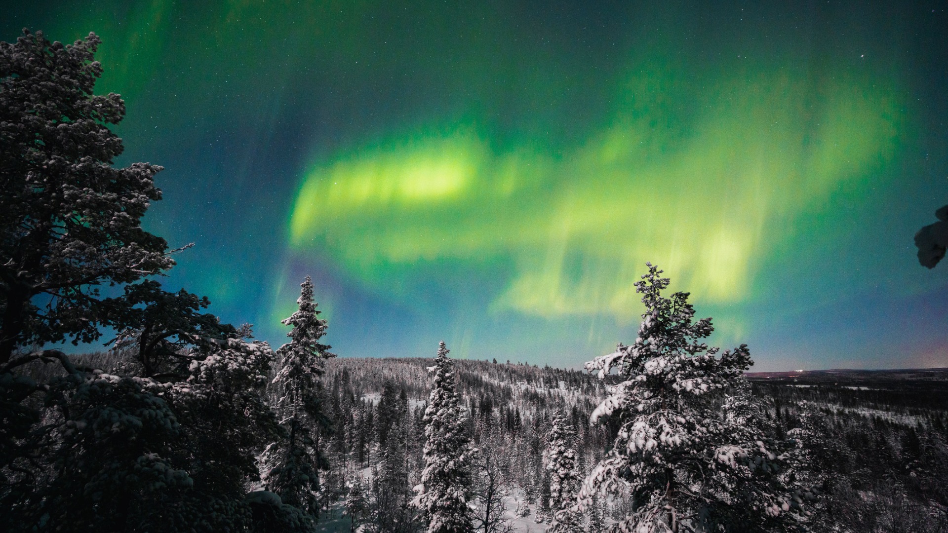 This image shows green Northern Lights over a forest in Rovaniemi, Finland. 