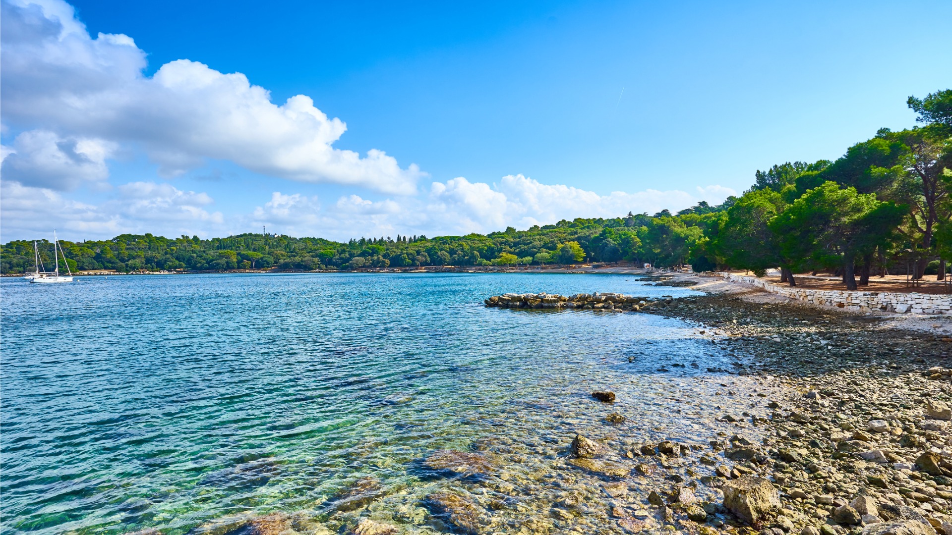 This image shows Lone Bay, a secluded beach with pine trees almost touching the water below a sunny sky. Lone Bay is one of the best beaches in Rovinj.