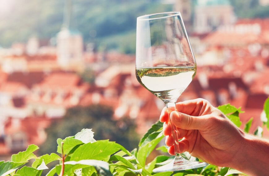 Vineyards in Prague: Everything You Need To Know