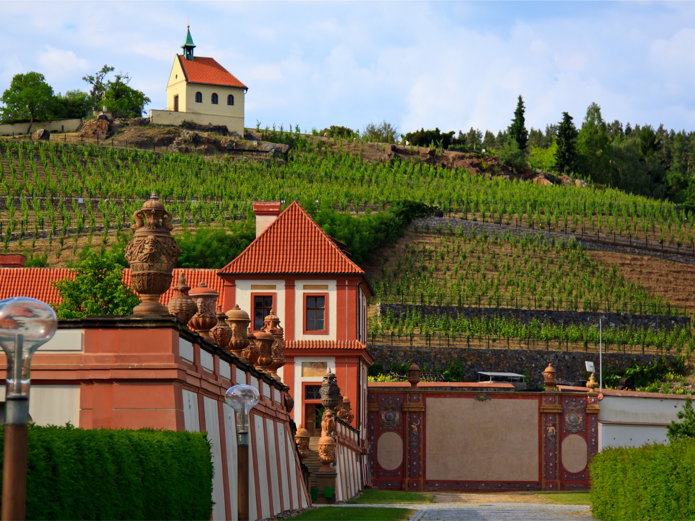 This image shows St. Claire Chapel at the top of a hill planted with grapevines. In the foreground, Troja Chateau amidst one of the most beautiful vineyards in Prague.