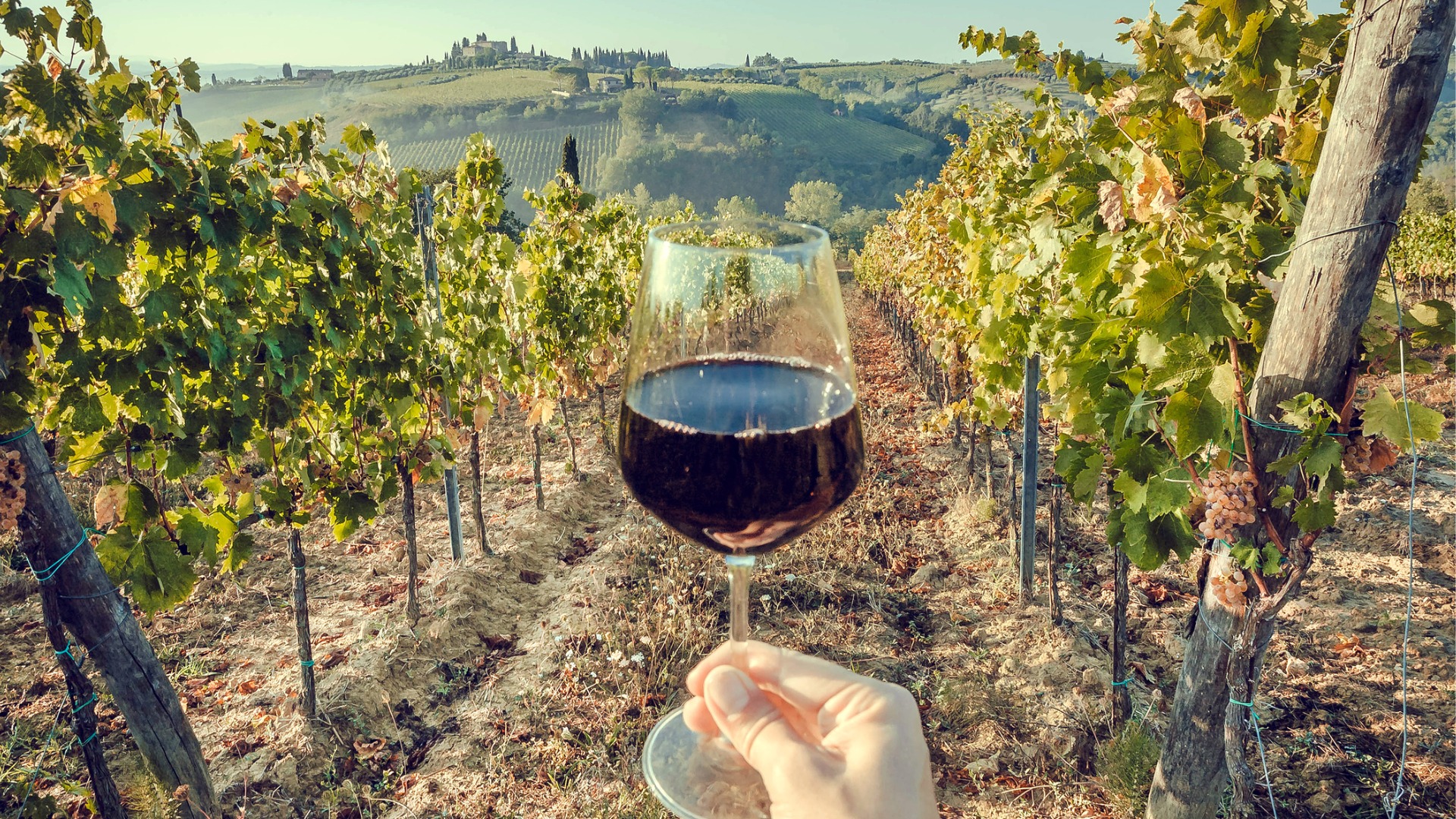 This image shows a hand holding a glass of red wine amid vineyards with the rolling hills of Tuscany in the background. 