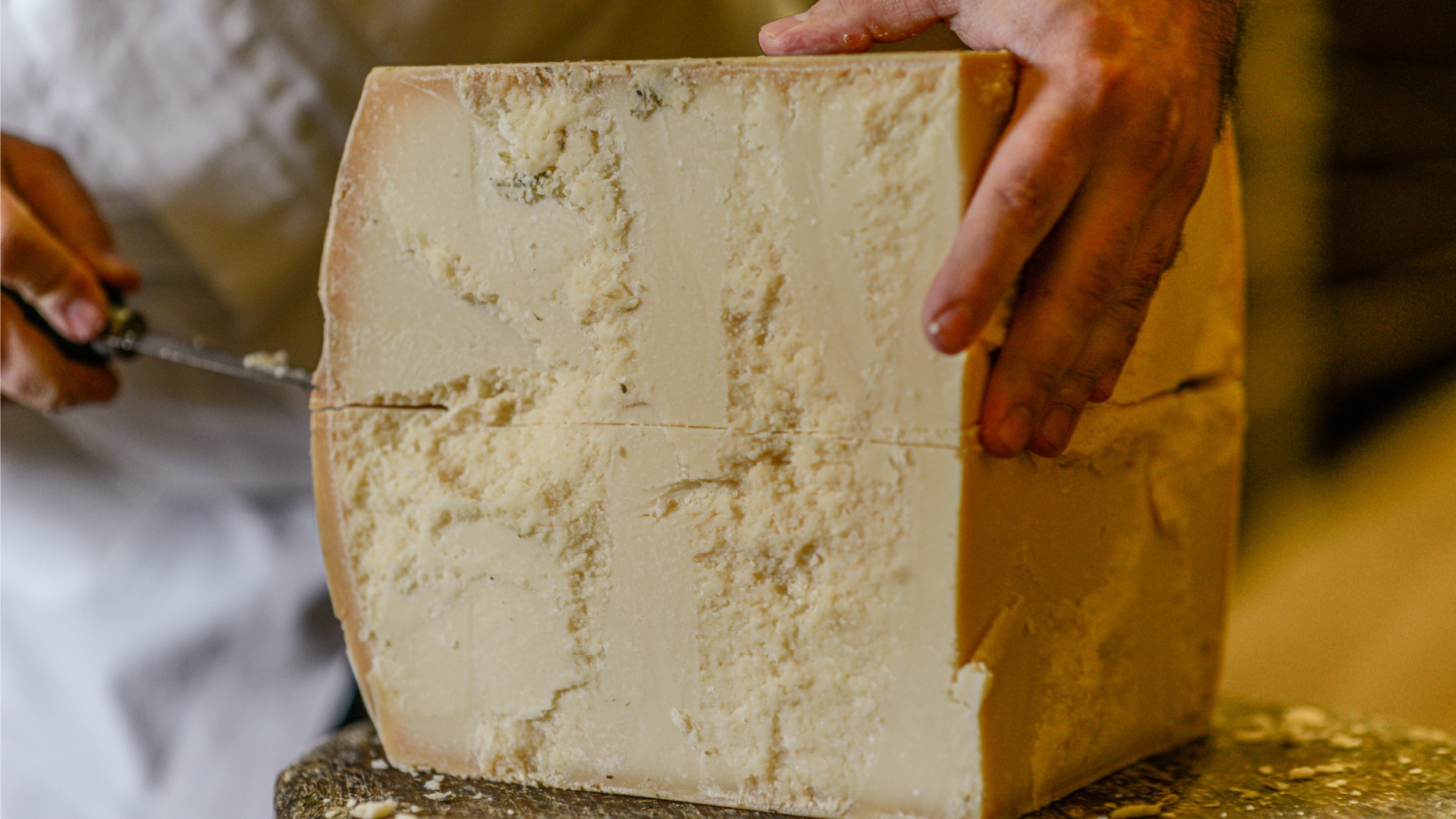 This is a close up of a Parmigiano Reggiano cheese wheel. The hands of the dairy master cutting it are also visible. 