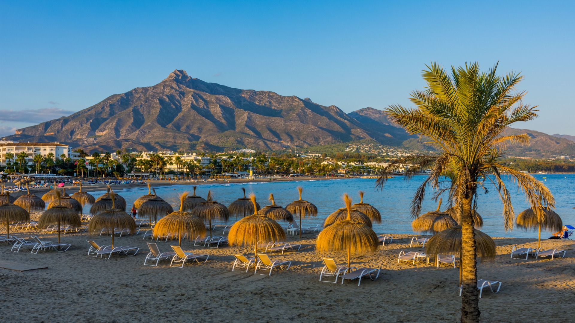 A sandy beach with straw umbrellas, sunbeds, and a palm tree. In the background, a tall mountain. 