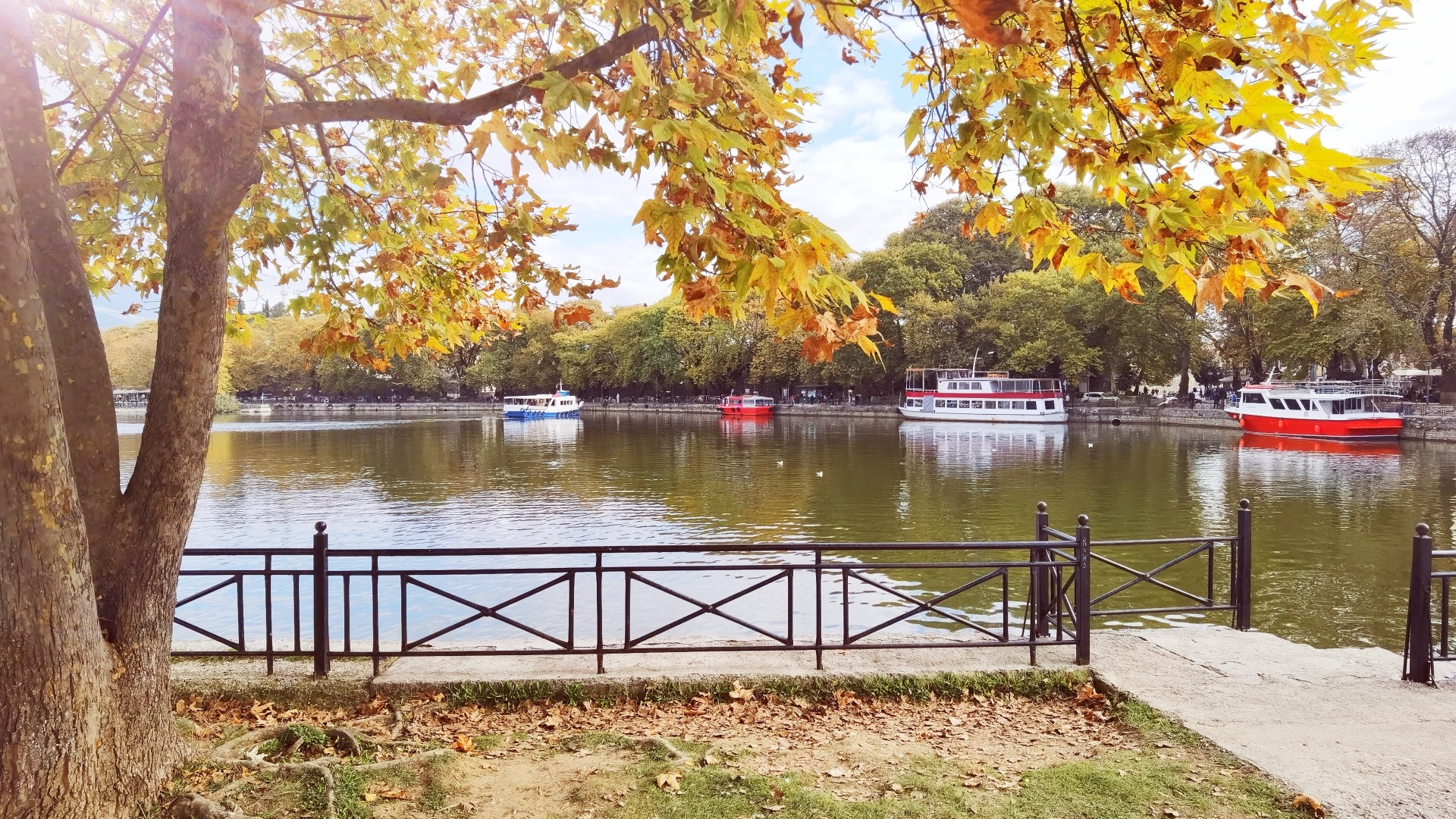 Several boats in a lake surrounded by trees with yellow leaves. 