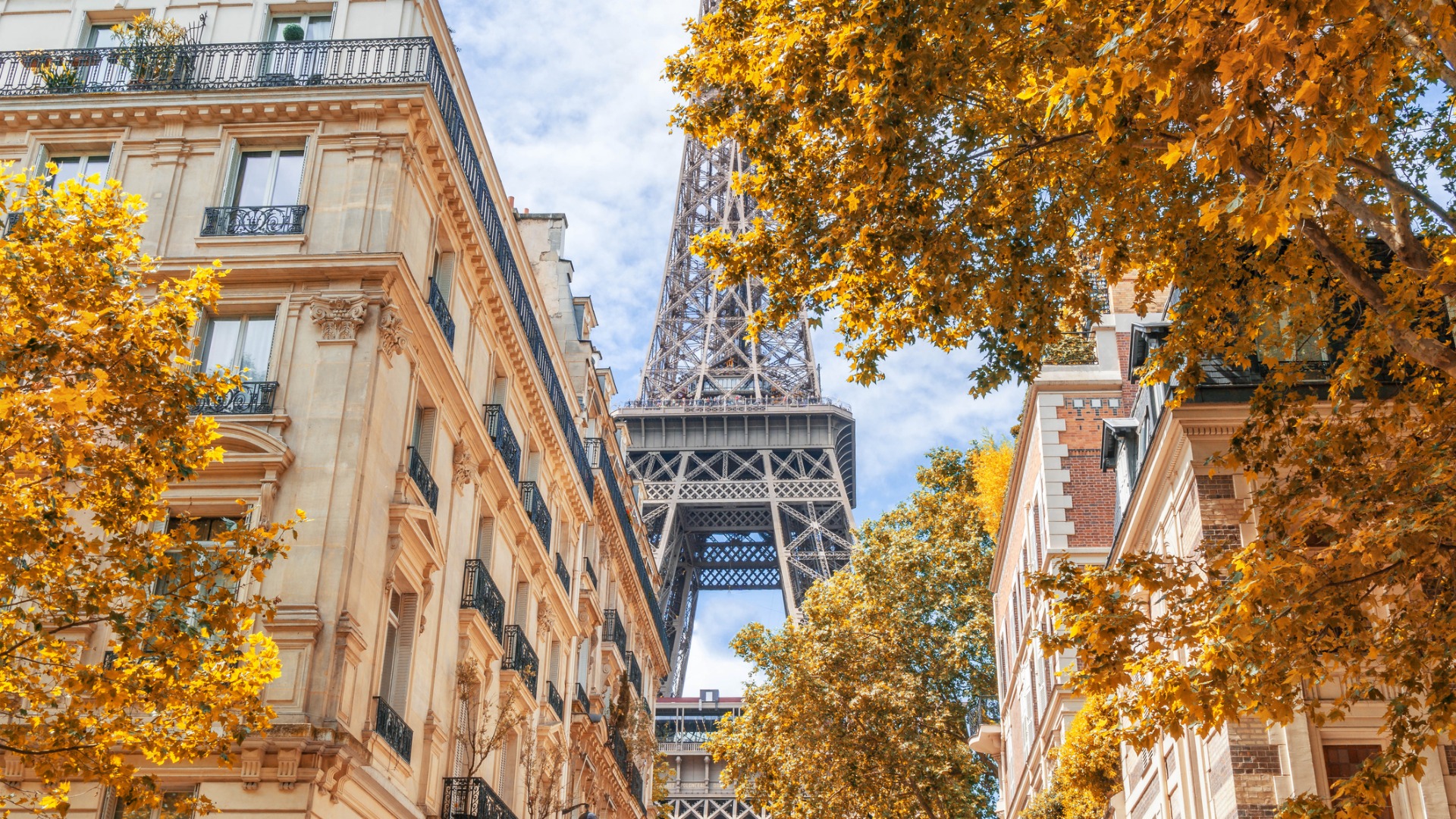 Low-angle view of the Eiffel Tower with autumn-leaved trees in the foreground. 