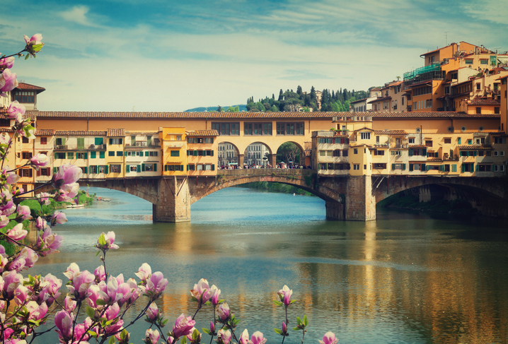 A picturesque view of the iconic Ponte Vecchio bridge in Florence, Italy, captured on a serene day. The historic bridge, lined with charming shops, stretches over the calm waters of the Arno River. In the foreground, blooming pink flowers add a touch of natural beauty, contrasting with the warm, rustic tones of the bridge and surrounding buildings. The scene is set against a backdrop of rolling hills and a blue sky, highlighting the timeless charm and romantic ambiance of Florence.