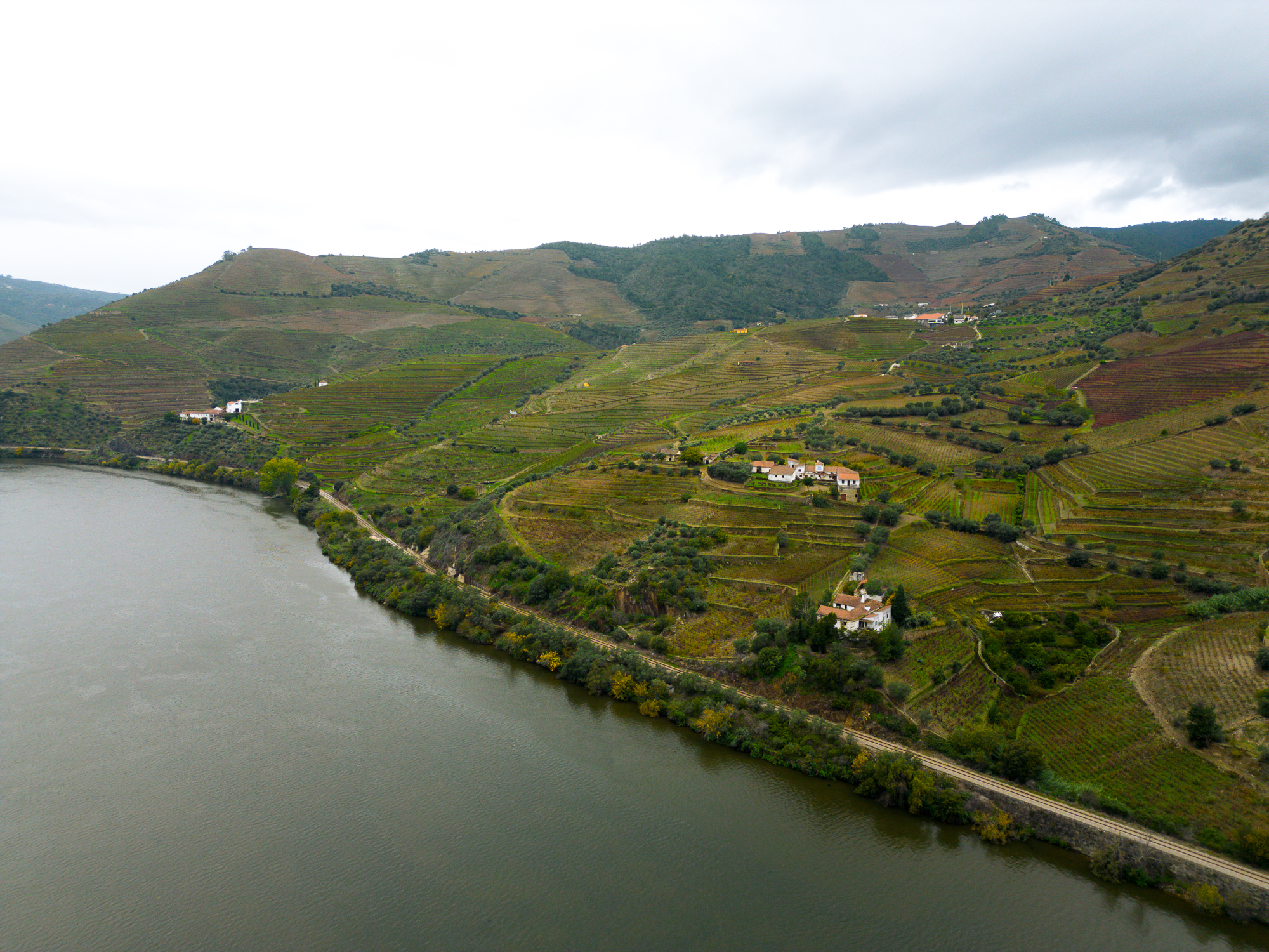 An aerial view of the Douro valley and river. 