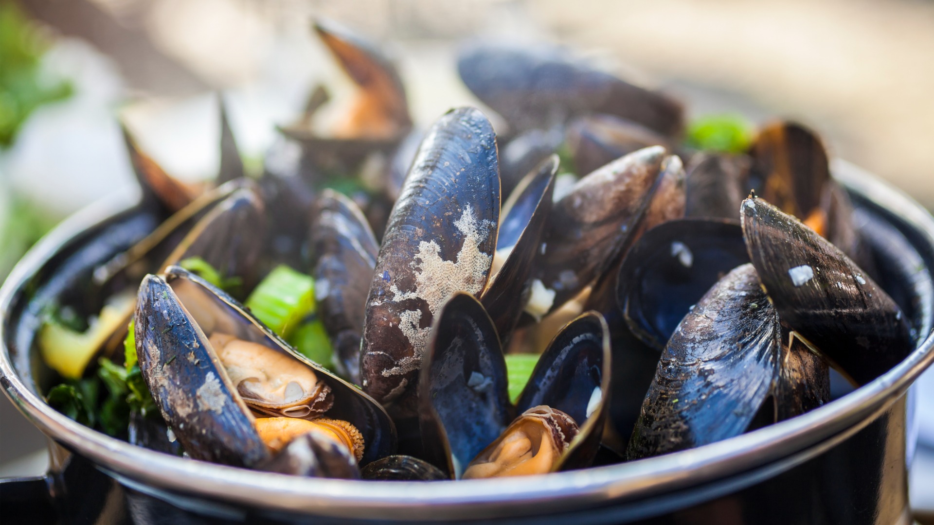 A close up of a bowl filled with mussels, always on the list of the best French food. 