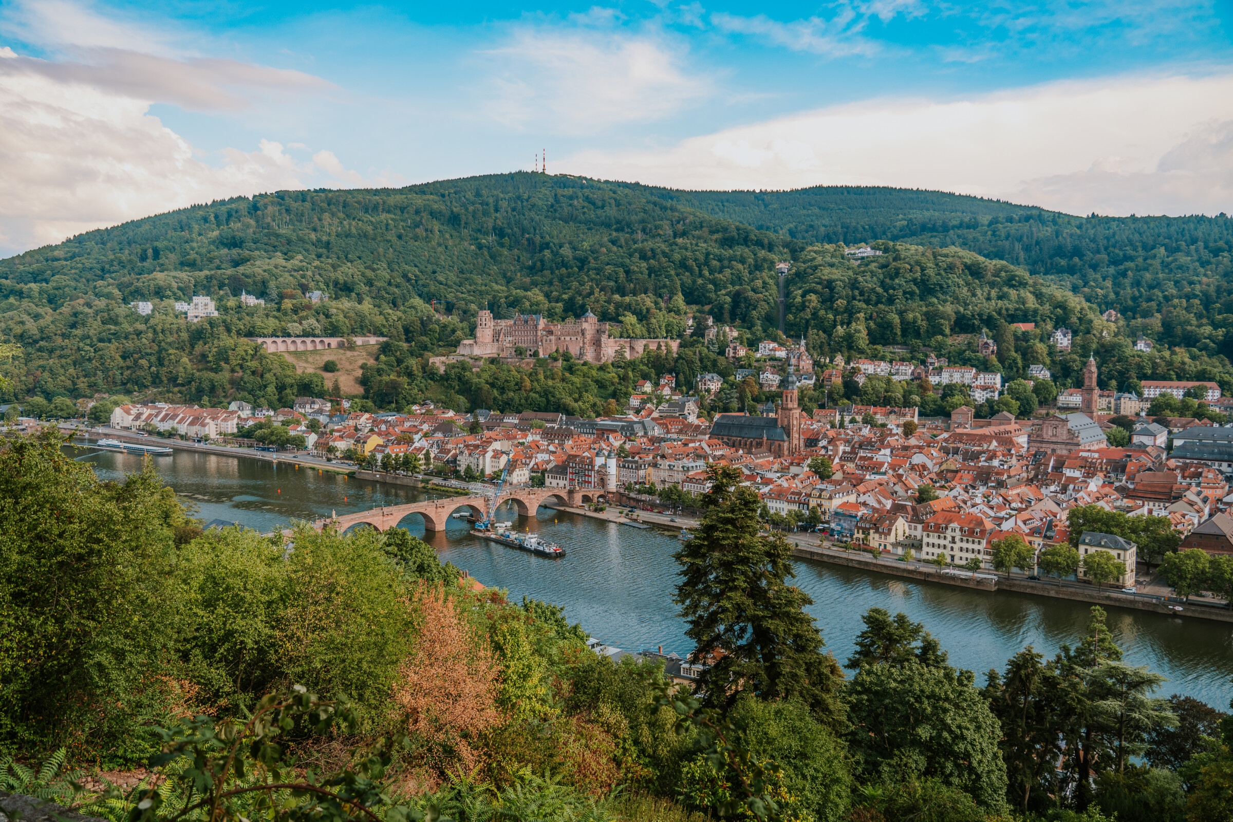 A panoramic view of Heidelberg, one of the best places to visit in Germany. The red-rooftoped town is built along the river, under the shadow of a green mountain. 