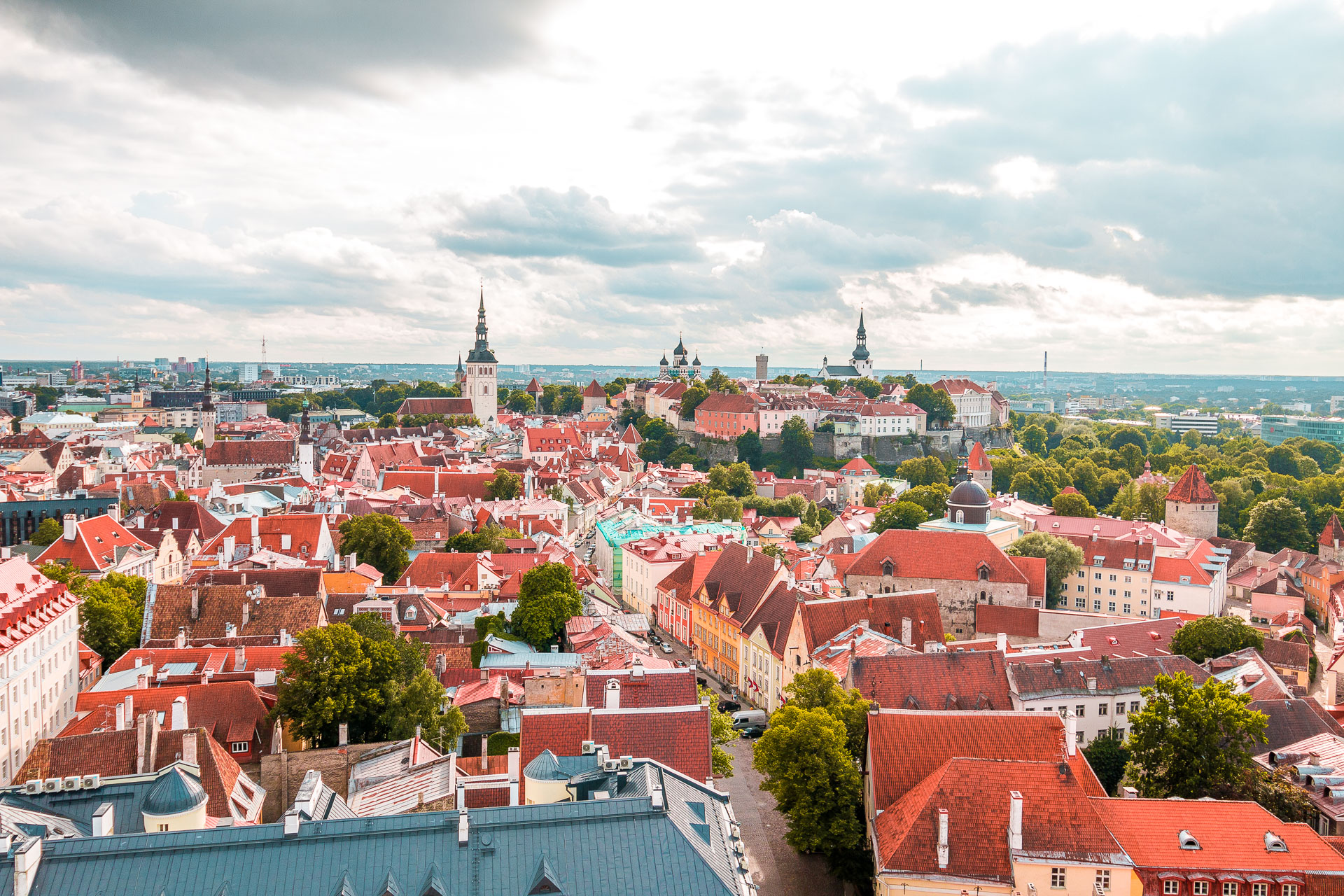 A panoramic view of Tallinn with its red rooftops. 