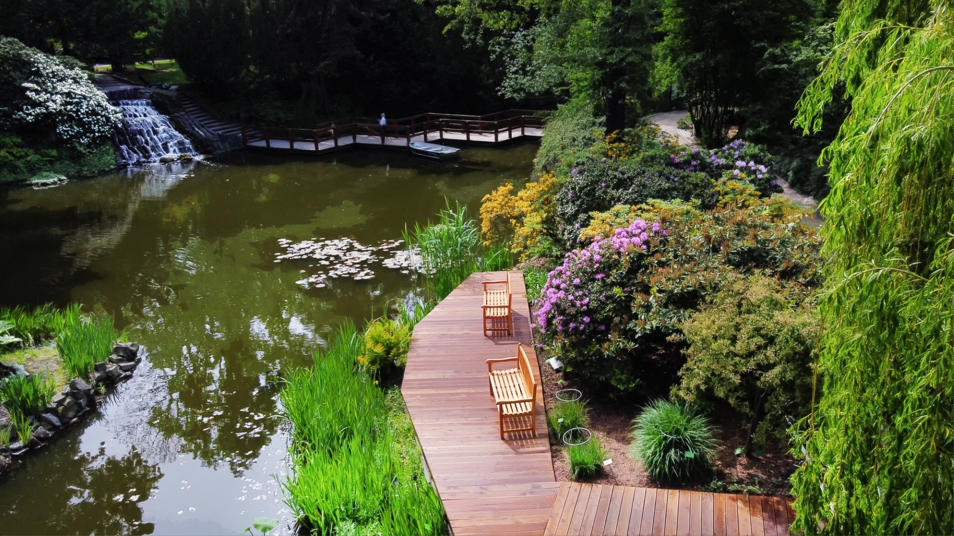 A pond lined with wooden footpaths and benches. There's lush greenery surrounding the pond. 