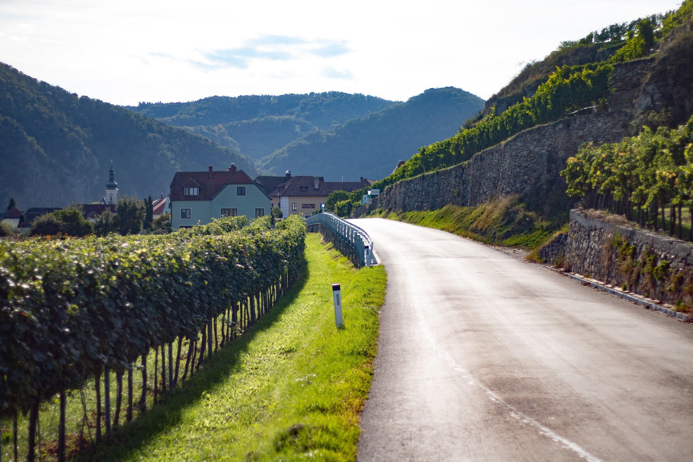 A scenic road lined with vines and a few traditional houses in the background. 