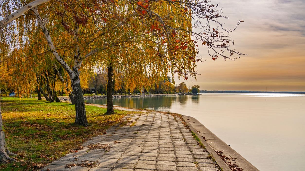 A lakeside promenade with trees with fall foliage.