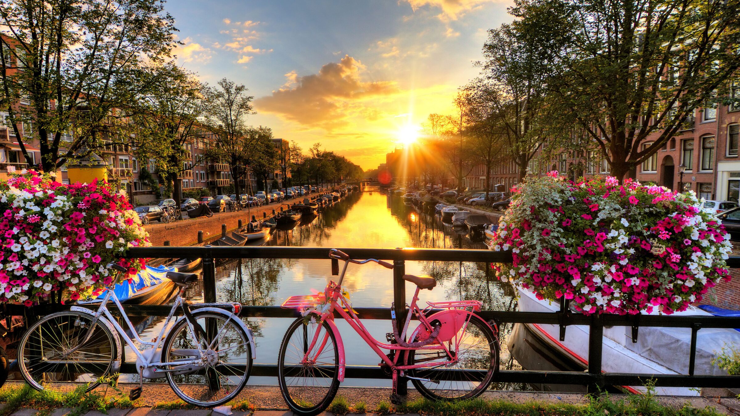 Beautiful sunrise over Amsterdam, with flowers and bicycles on the bridge in spring.