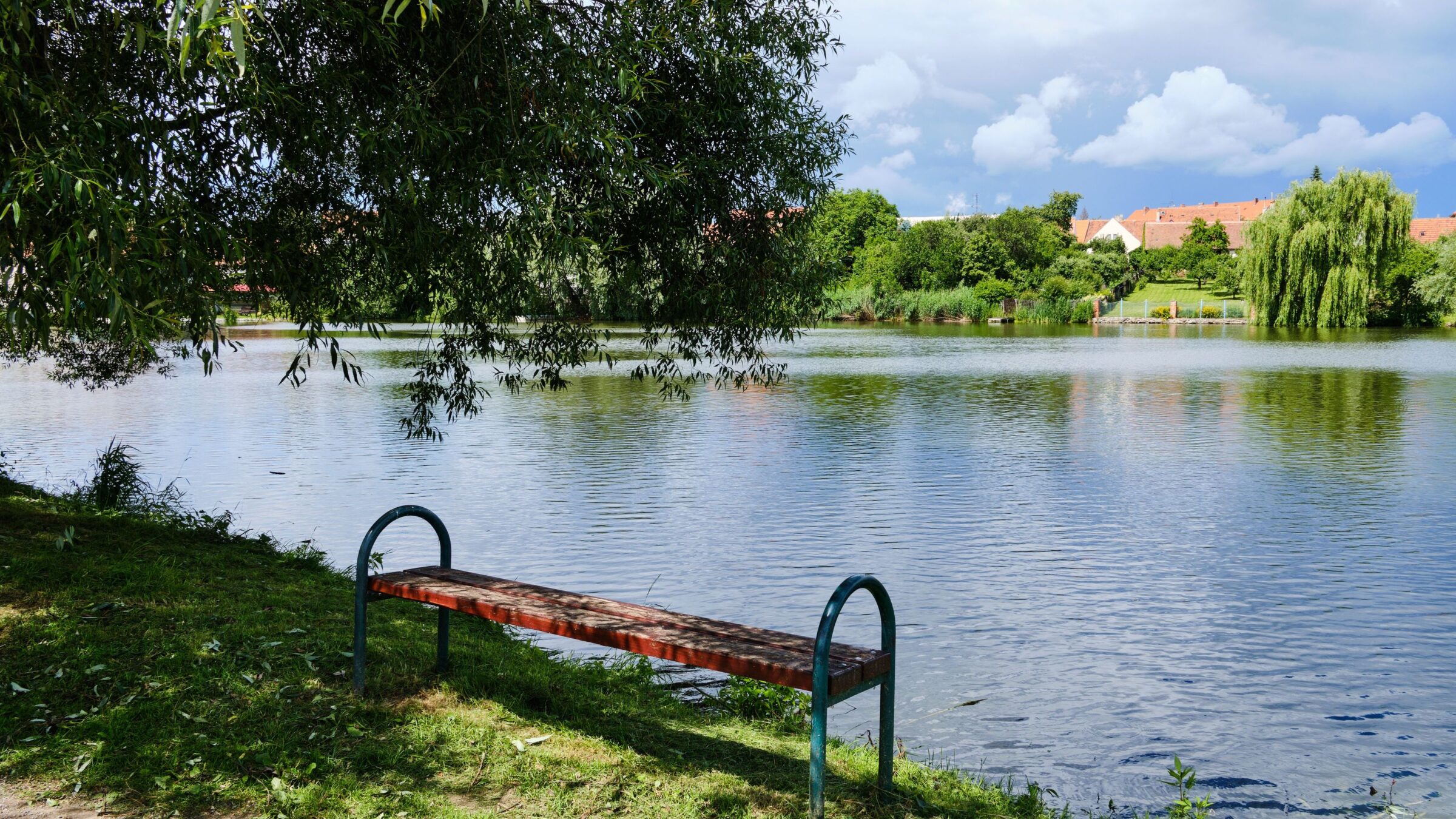 A bench under a tree by the Stepnicky Pond.