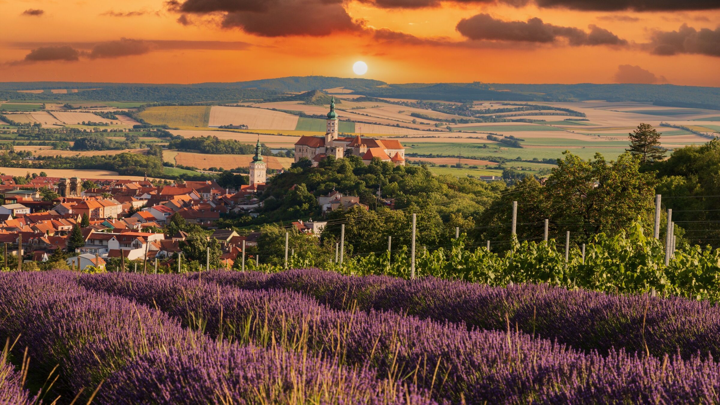 View of the city of Mikulov, one of the best places to visit in Czechia. In the foreground, vineyards and lavender fields. There are some nice dramatic clouds in the sky.