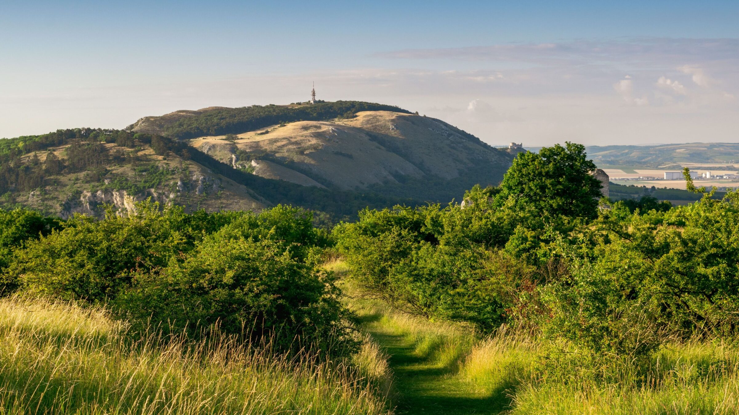 A scenic footpath among greenery and a hill in the background.