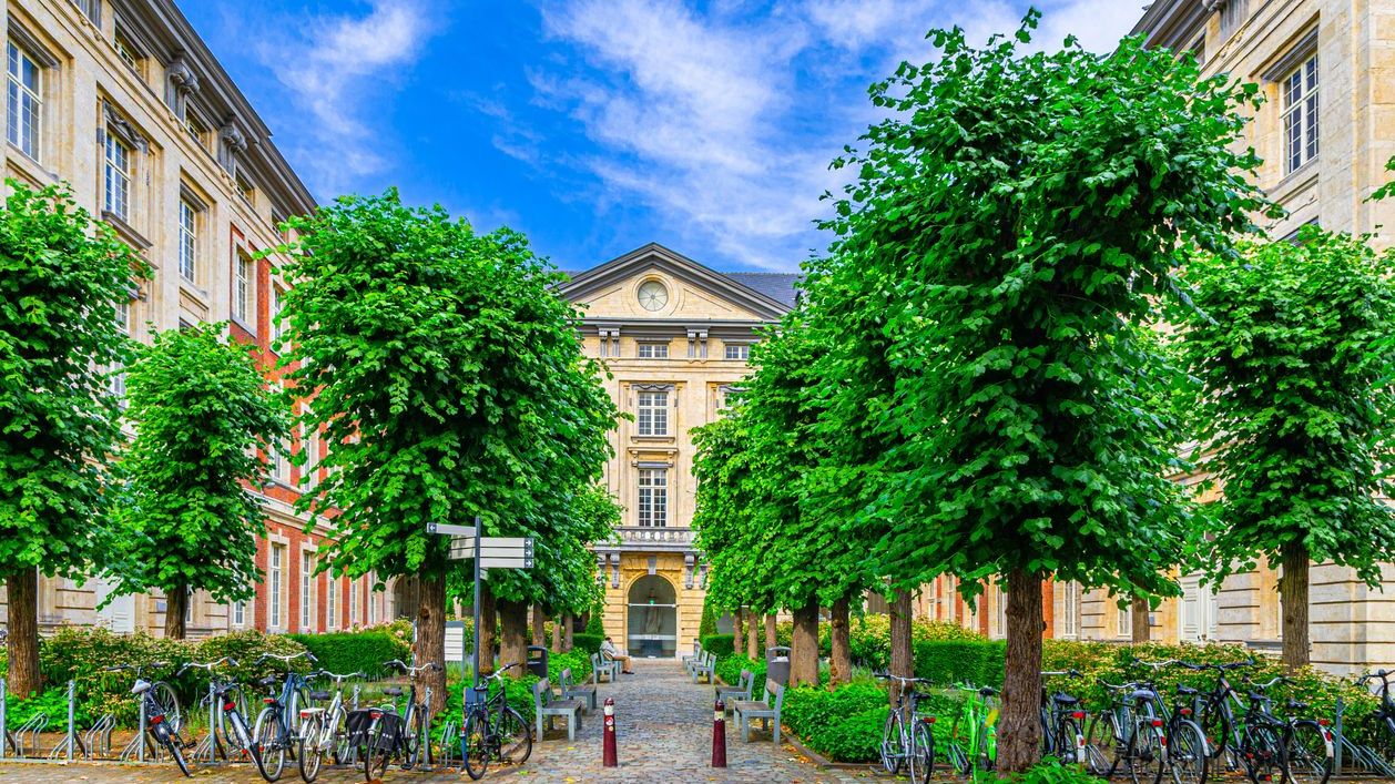 A KU building in the historic center of Leuven with trees and several bicycles in the foreground.