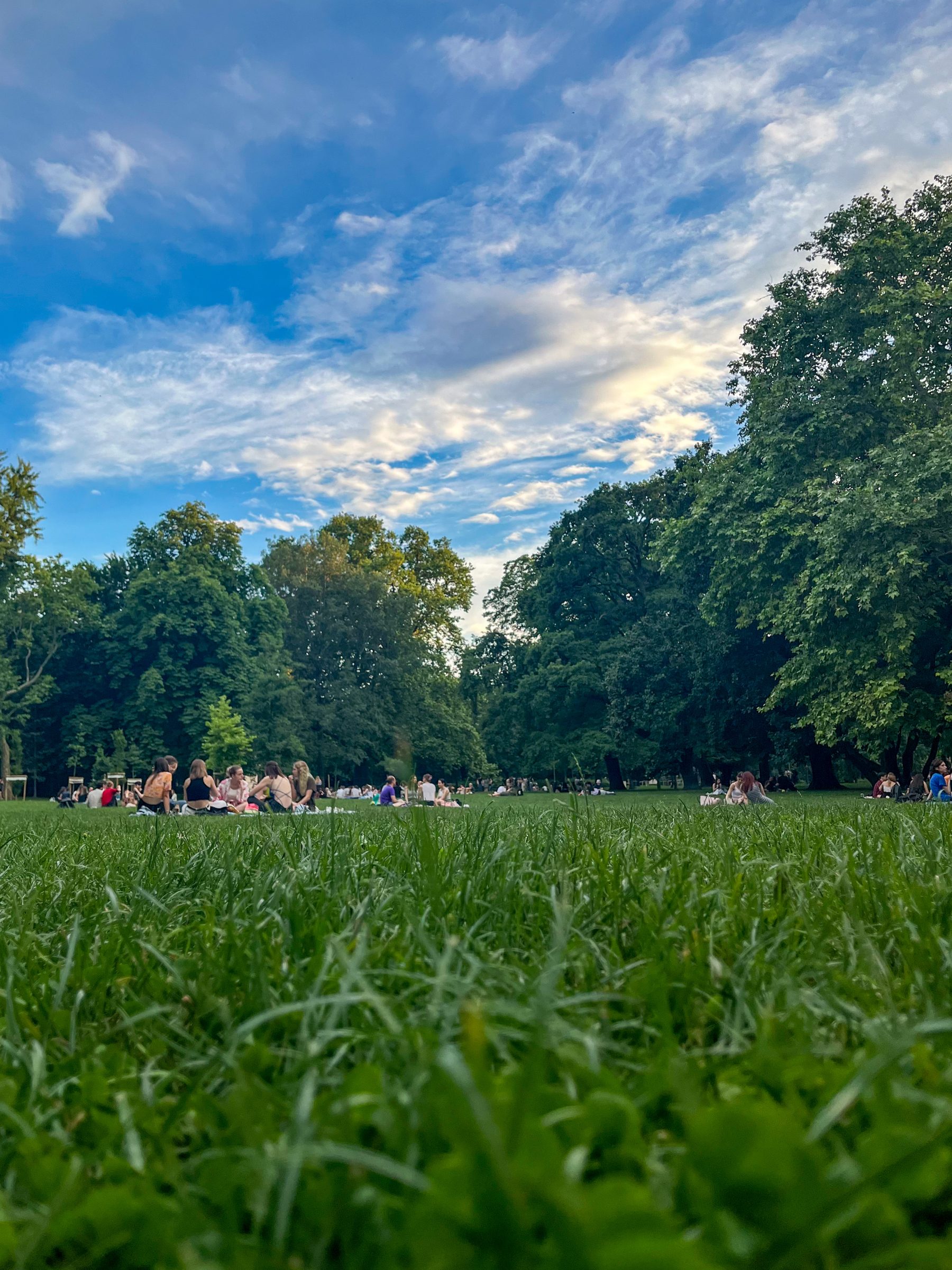 People sitting on the grass having picnics under a bright blue sky. 