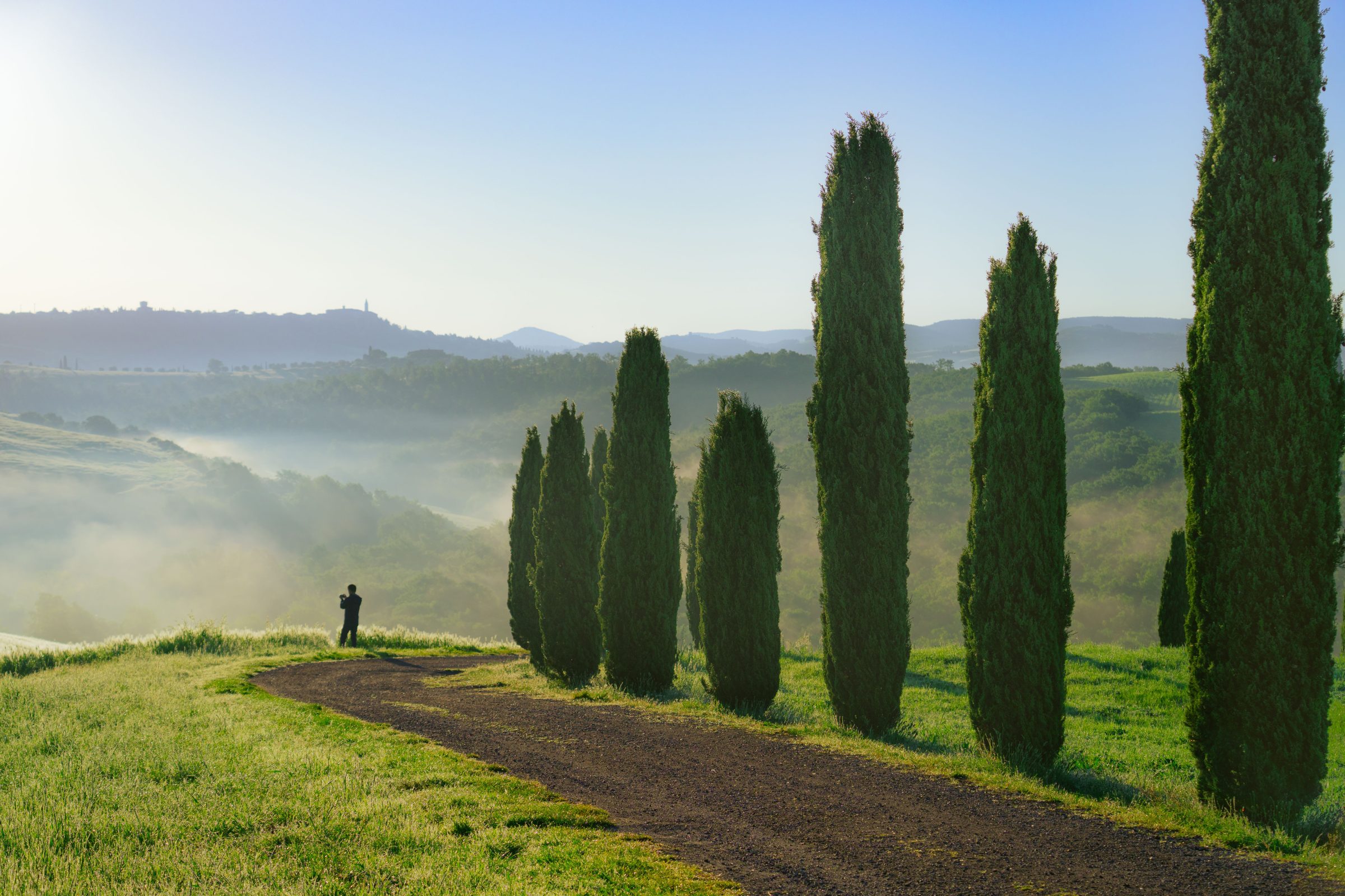 A row of tall cypress trees and a man in the distance taking a photo of the rolling hills of Tuscany.