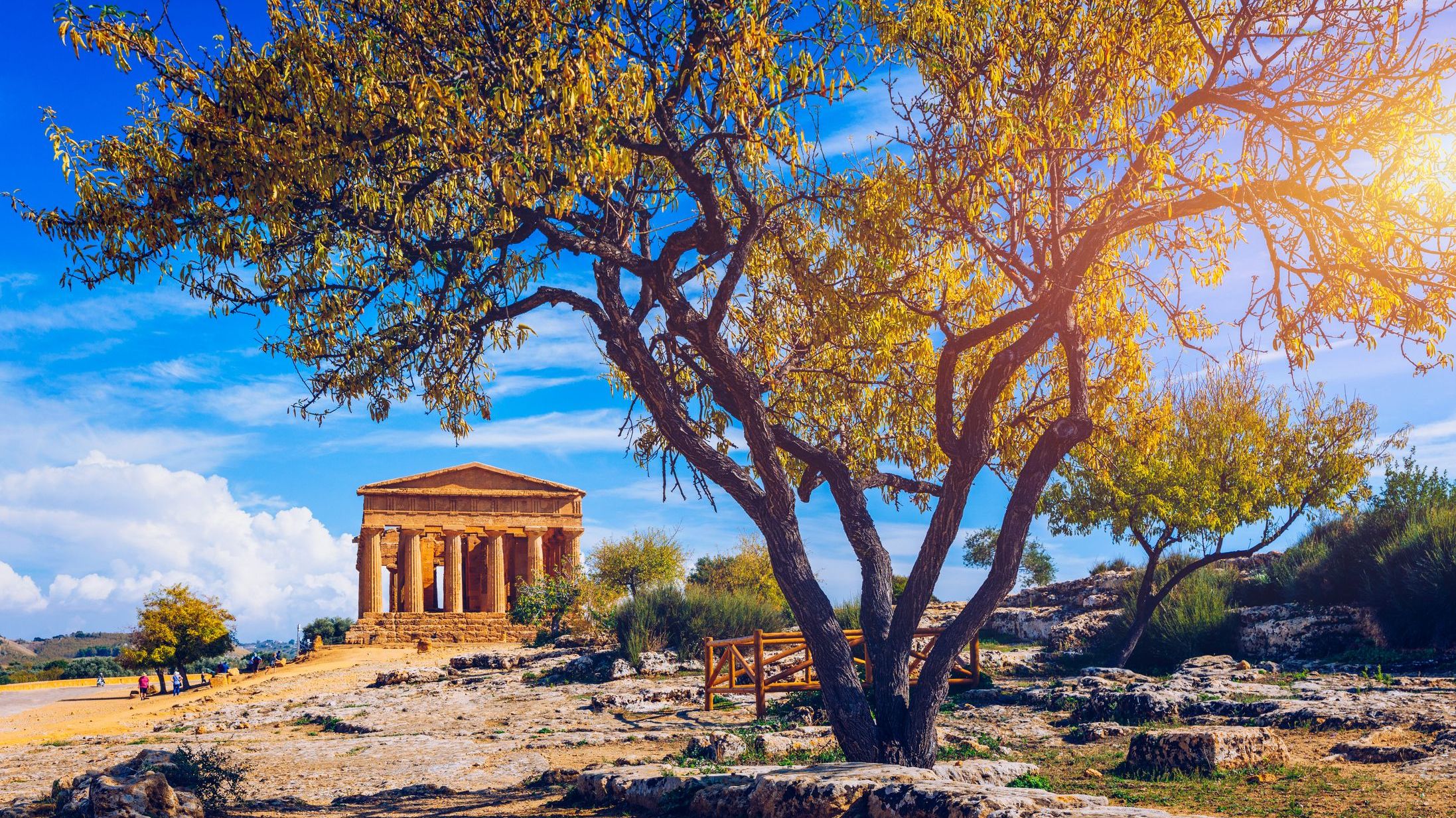 The Temple of Concordia, an Ancient Greek Temple built in the 5th century BC in Agrigento, Sicily. A tree with brown leaves in the foreground shows why fall may be the best time to visit Sicily for photography lovers. 