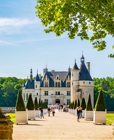 Chenonceau castle and park in Loire valley