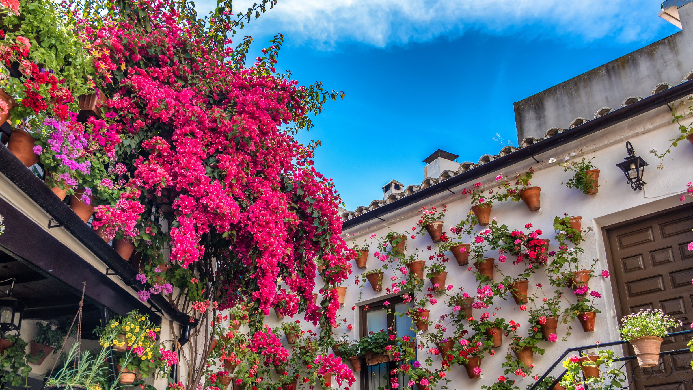 Brightly colored bougainvillea plants and pots with flowers on whitewashed walls in Cordoba, one of the best places to visit in Andalusia.