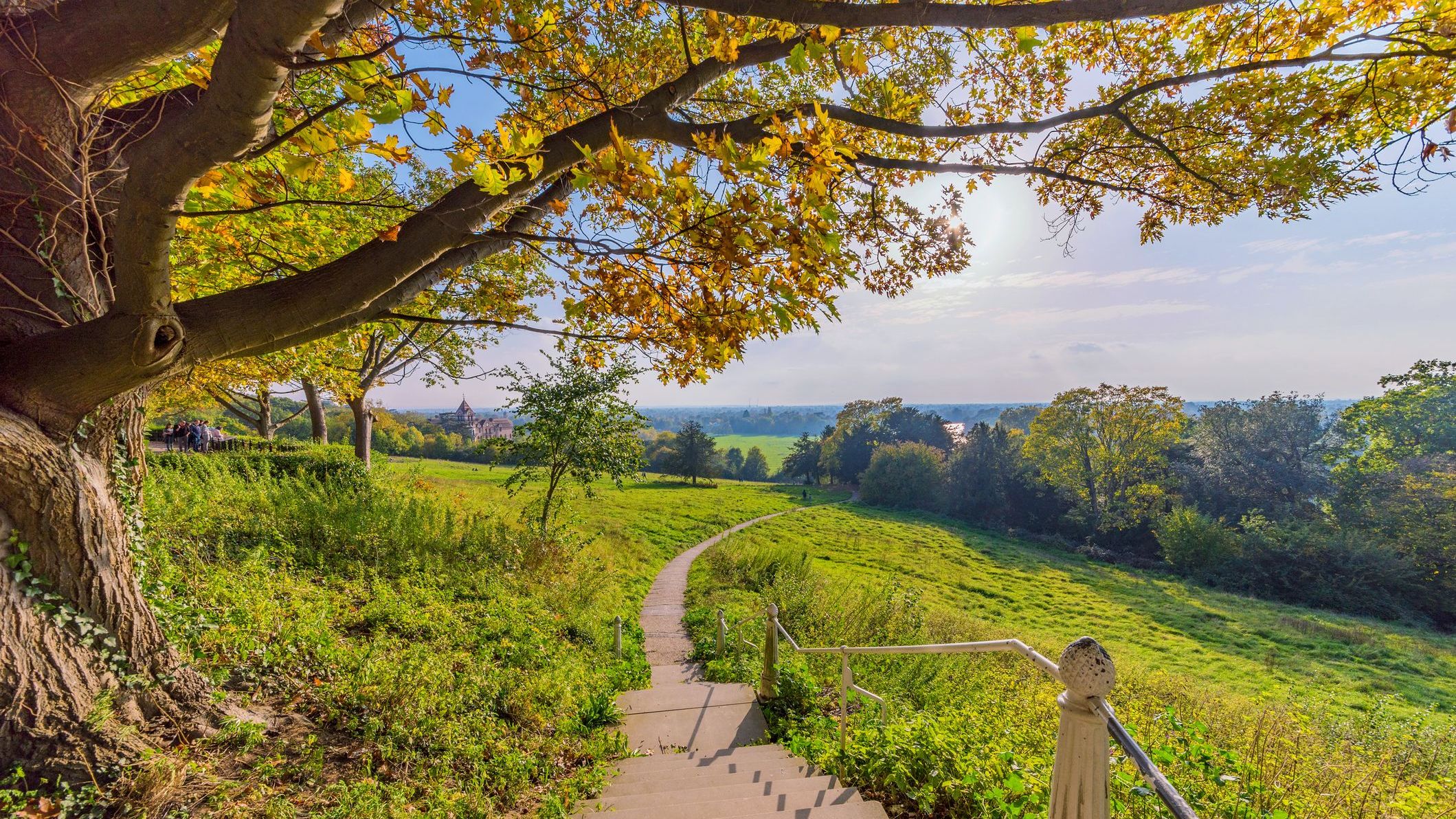 Scenic view of a walking path in London's Richmond Park.