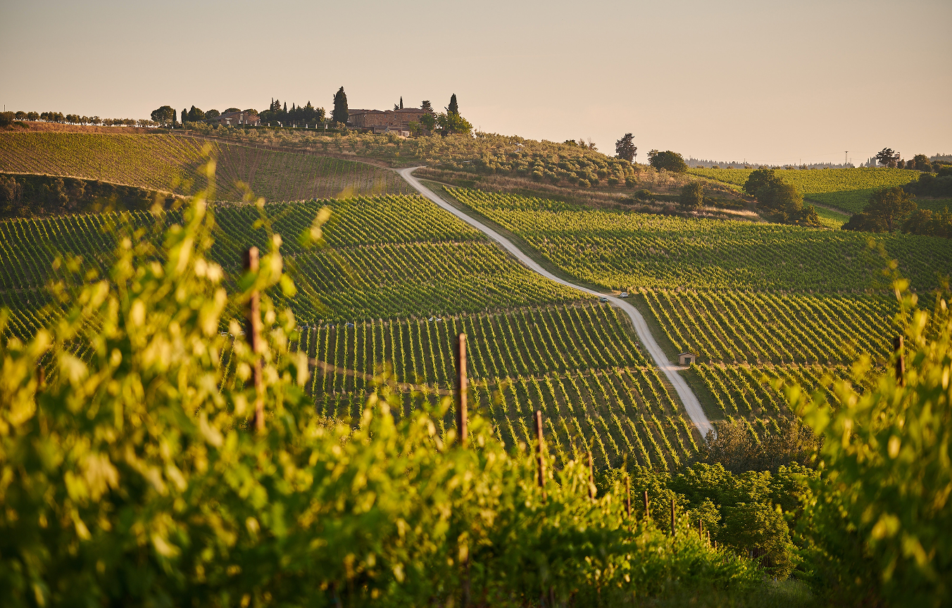 Wine tasting in Tuscany