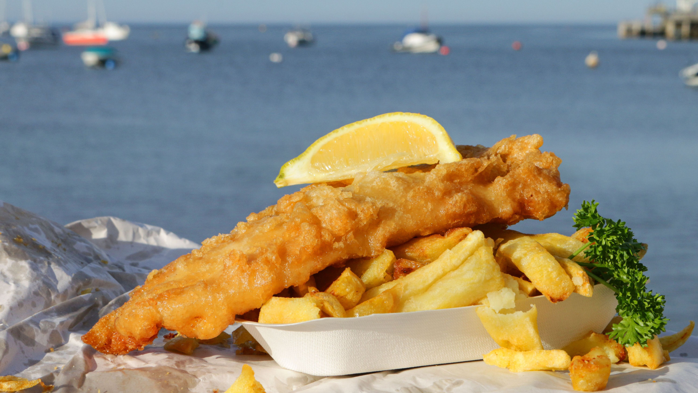 A paper plate filled with fish and chips with the sea in the background. 